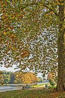 Cjp_2009_10_29_150033 (1)_HDR-D2.jpg